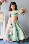 Pinkcow designs pvt ltd_Mint Organza, Net Applique, Embroidery Floral Print Lehenga Blouse And Dupatta Set _at_Aza_Fashions