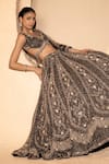 Shop_Amaltas Couture_Gray Net Sequins, Stones, Beads, Embroidery Floral And Geometric Lehenga Set _Online_at_Aza_Fashions