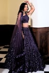 Buy_Amaltas Couture_Purple Silk, Net Sequins, Beads, Embroidery, Tassels One Geometric Lehenga Set _Online_at_Aza_Fashions