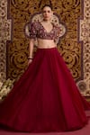 Buy_Meesa_Red Organza Embroidery, Beads, Tassels, Applique V-neck Lehenga Set _Online_at_Aza_Fashions