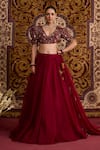 Buy_Meesa_Red Organza Embroidery, Beads, Tassels, Applique V-neck Lehenga Set _at_Aza_Fashions
