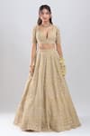 Azeera_Gold Organza Embroidery, Sequins V-neck Bridal Lehenga Set _Online_at_Aza_Fashions