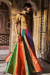 Shop_Dash And Dot_Multi Color Brocade, Lurex Metallic Thread, Banaras Multicolour Flared Skirt _Online_at_Aza_Fashions