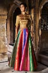 Dash And Dot_Gold Silk, Polyester, Lurex Embroidery, Banaras Multicolour Flared Skirt Set _at_Aza_Fashions