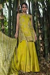 Shop_Shalkii_Yellow Tissue, Silk Embroidery, Pearls, Zari Round Neck Kurta Gharara Set _Online_at_Aza_Fashions