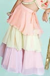 Toddle Kidswear_Peach Georgette, Organza Embroidery Strawberry Fields Skirt Set _Online_at_Aza_Fashions