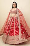 Azeera Red Zari, Embroidery, Stones Sweetheart Neck, Leaf Aarvi Bridal Lehenga Set at Aza Fashions Azeera_Red Zari, Embroidery, Stones Sweetheart Neck, Leaf Aarvi Bridal Lehenga Set _at_Aza_Fashions