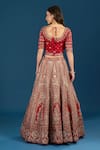 Shop_Azeera_Red Dupion, Silk, Net Embroidery, Zari, Tassels V-neck Hand Bridal Lehenga Set _at_Aza_Fashions
