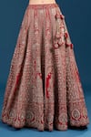 Shop_Azeera_Red Dupion, Silk, Net Embroidery, Zari, Tassels V-neck Hand Bridal Lehenga Set _Online_at_Aza_Fashions