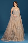 Samyukta Singhania_Beige Net Embroidery, Sequins, Beads V-neck Dark Gown _Online_at_Aza_Fashions