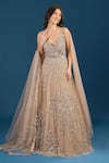 Buy_Samyukta Singhania_Beige Net Embroidery, Sequins, Beads V-neck Dark Gown _Online_at_Aza_Fashions