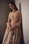 Awigna_Pink Georgette, Net Embroidery, Beads, Sequins, Pearls Dusty Lehenga Set _at_Aza_Fashions