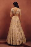 Shop Awigna Beige Net Crystals, Embroidery, Sequins, Mirrors Champagne Bridal Lehenga Set at Aza Fashions Shop_Awigna_Beige Net Crystals, Embroidery, Sequins, Mirrors Champagne Bridal Lehenga Set _at_Aza_Fashions