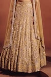 Shop Awigna Beige Net Crystals, Embroidery, Sequins, Mirrors Champagne Bridal Lehenga Set Online at Aza Fashions Shop_Awigna_Beige Net Crystals, Embroidery, Sequins, Mirrors Champagne Bridal Lehenga Set _Online_at_Aza_Fashions