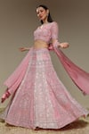 Buy_Neha Gursahani_Pink Organza Embroidery, Sequins, Zari, Two Tone Panelled Hand Lehenga Set _Online_at_Aza_Fashions
