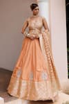 Buy_Meenagurnam_Rust Jacquard Sequins, Stones, Embroidery Jaal And Sparkle Embellished Lehenga Set _at_Aza_Fashions