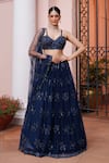 Buy_Meenagurnam_Navy Net Sequins, Beads, Embroidery Flower Motif And Beaded Lehenga Set _at_Aza_Fashions