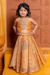 Buy_Kirti Agarwal - Pret N Couture_Brown Tissue, Silk Embroidery, Pearls, Tassels Hand Blouse With Lehenga _at_Aza_Fashions