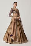Vvani By Vani Vats_Brown Organza, Georgette Gota Patti, Mirrors, Mughal Motif Blouse Lehenga Set _Online_at_Aza_Fashions