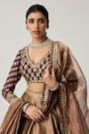 Vvani By Vani Vats_Brown Organza, Georgette Gota Patti, Mirrors, Mughal Motif Blouse Lehenga Set _at_Aza_Fashions