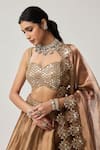 Vvani By Vani Vats_Brown Organza Mirrors, Sequins Sweetheart Copper Tissue Geometry Lehenga Set _at_Aza_Fashions