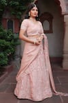 Nidhi Kejriwal_Rose Gold Tissue, Silk, Crepe Embroidery, Pre-draped Lehenga Saree With Blouse _Online_at_Aza_Fashions