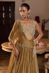 Seema Thukral Gold Tissue, Satin Mirrors, Beads, Indira Embellished Blouse Lehenga Set Online at Aza Fashions Seema Thukral_Gold Tissue, Satin Mirrors, Beads, Indira Embellished Blouse Lehenga Set _Online_at_Aza_Fashions