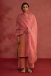 Rhua_Pink Tissue, Organza Embroidery, Metallic Thread Handwoven Banarasi Kurta Set _Online_at_Aza_Fashions