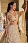 Buy_Seema Gujral_Beige Net Pearls, Embroidery, Tassels V-neck Lehenga Set _Online_at_Aza_Fashions