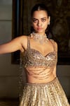 Shop_Seema Gujral_Gold Net Sequins, Crystals, Tassels, Embroidery Sweetheart Neck Lehenga Set _Online_at_Aza_Fashions