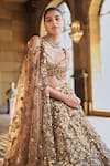 Buy_Seema Gujral_Gold Net Applique, Crystals, Sequins, Metallic 3d Embroidered Bridal Lehenga Set _Online_at_Aza_Fashions
