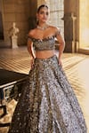 Buy_Seema Gujral_Silver Net Applique, Sequins, Crystals, Tassels Metallic 3d Lehenga Set 