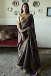Buy_Shorshe Clothing_Brown Chanderi Silk, Tissue Lace, Embroidery Sati Stripes Saree _at_Aza_Fashions