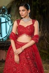 Shop_Shashank Arya_Red Tulle Sequins, Crystals, Embroidery, Beads Resham And Work Lehenga Set _Online_at_Aza_Fashions
