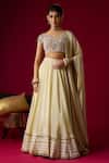 Buy_RAYASHA KHAN_Gold Silk, Tissue, Net, Chiffon Zari, Nora Lehenga Set With Back Blouse _at_Aza_Fashions