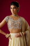 Buy_RAYASHA KHAN_Gold Silk, Tissue, Net, Chiffon Zari, Nora Lehenga Set With Back Blouse _Online_at_Aza_Fashions
