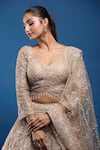 Samyukta Singhania_Gold Net Sequins, Embroidery, Zari, Beads Sweetheart Neck Lehenga Set_Online_at_Aza_Fashions