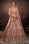 Buy_House of ayra_Pink Silk, Net Embroidery, Zari, Beads, Amythesyt Resham Bridal Lehenga Set _at_Aza_Fashions