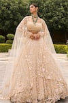 Buy House of ayra Ivory Net Embroidery, Sequins, Stones, Metallic Snow White Bridal Lehenga Set at Aza Fashions Buy_House of ayra_Ivory Net Embroidery, Sequins, Stones, Metallic Snow White Bridal Lehenga Set _at_Aza_Fashions