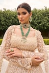 House of ayra Ivory Net Embroidery, Sequins, Stones, Metallic Snow White Bridal Lehenga Set Online at Aza Fashions House of ayra_Ivory Net Embroidery, Sequins, Stones, Metallic Snow White Bridal Lehenga Set _Online_at_Aza_Fashions