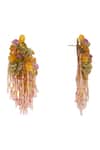 House Of D"Oro_Multi Color Beads, Stones Beaded Cluster And Fringe Drop Earrings _Online_at_Aza_Fashions