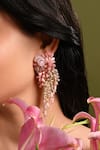 Buy_House Of D"Oro_Pink Beads, Stones Floree Beaded Cluster Drop Earrings _at_Aza_Fashions