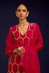 Shop_Devnaagri_Fuchsia Chanderi , Organza Embroidery, Mirrors, Sequins Kurta Set 