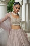 Enamour By Radha_Beige Silk, Organza Beads, Pearls, Sequins, Embroidery Zari Lehenga Set _Online_at_Aza_Fashions