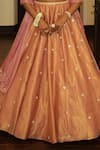 Enamour By Radha_Pink Chanderi, Velvet, Tissue, Silk Sequins, Zari, Gold Self Butti Lehenga Set _Online_at_Aza_Fashions