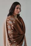 SHAZA_Brown Nusrat Handwoven Needlework Embroidered Stole _Online_at_Aza_Fashions