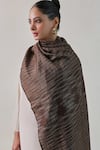 SHAZA_Brown Arzoo Zari Ekkat Stripe Pashmina Shawl _Online_at_Aza_Fashions