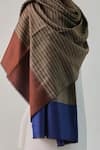 SHAZA_Brown Arzoo Zari Stripe Reversible Pashmina Shawl _Online_at_Aza_Fashions