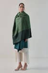 Buy_SHAZA_Green Arzoo Zari And Pashmina Reversible Shawl _at_Aza_Fashions