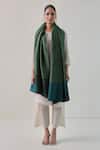 Shop_SHAZA_Green Arzoo Zari And Pashmina Reversible Shawl _at_Aza_Fashions